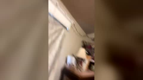 paytenspanties online show from March 24, 12:37 am