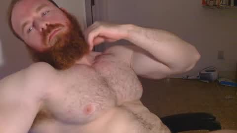 Snapshot of pec_inspector chatting on January 30, 3:55 am Pec inspector online show from January 30, 3:55 am