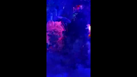 penrodscott7 online show from March 18, 11:24 am