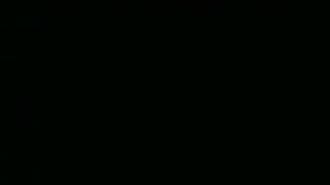 perrosoxxx online show from January 15, 12:09 am