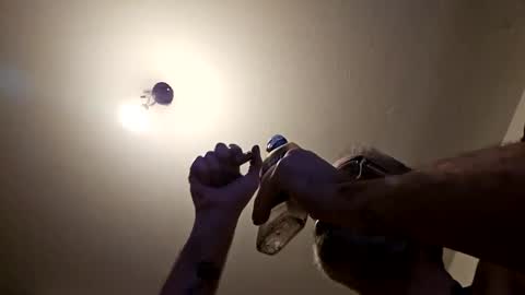 pervpig1 online show from November 27, 10:45 pm