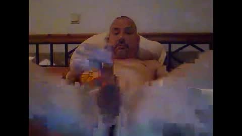 pet09 online show from January 6, 10:37 pm