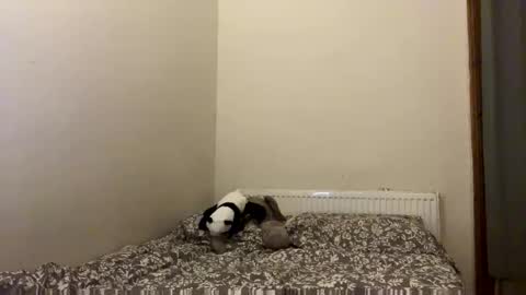 petal_lou02 online show from September 16, 11:06 pm