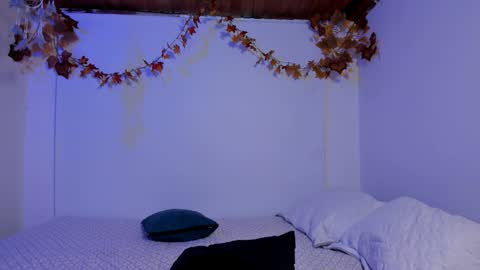 Rose online show from December 4, 10:08 pm