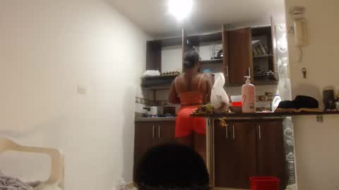 Snapshot of petarda333 chatting on February 28, 8:43 pm kamila online show from February 28, 8:43 pm