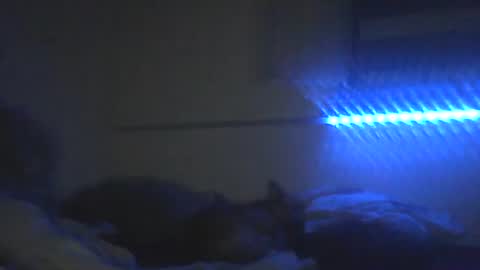 Snapshot of peterscherer620 chatting on February 10, 3:10 am Pitsches online show from February 10, 3:10 am