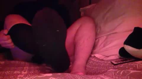 petmask online show from April 21, 12:34 am