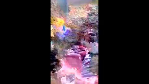 pezzabigcock online show from February 17, 7:27 am