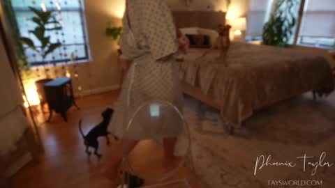 PHOENIX TAYLOR online show from October 30, 12:56 am