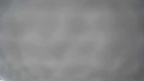 pichard18 online show from December 13, 5:16 am