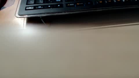 pier49x online show from December 4, 3:15 am