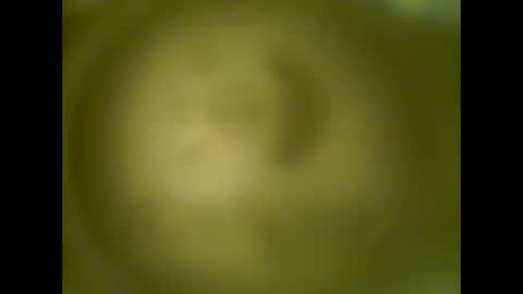 pierrecard1 online show from October 13, 5:40 am