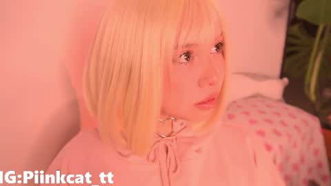 Snapshot of piinkcat chatting on December 5, 5:38 am Emi online show from December 5, 5:38 am