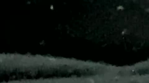 Snapshot of pilura chatting on July 19, 7:34 am pilura online show from July 19, 7:34 am