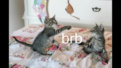 Snapshot of pink_girl0n chatting on October 19, 8:42 pm Kitty online show from October 19, 8:42 pm