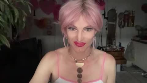 pinkfag online show from November 25, 2:28 pm