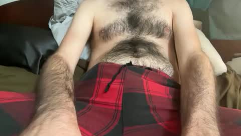 pistilstamen online show from December 4, 6:49 pm