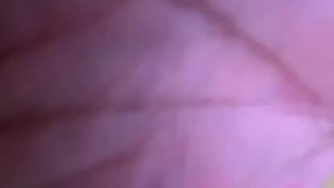 Snapshot of pistolpete9891 chatting on January 25, 8:42 pm pistolpete9891 online show from January 25, 8:42 pm