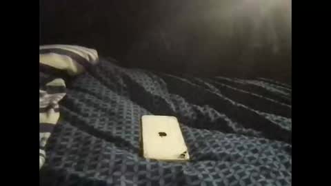 Snapshot of pityboycock chatting on September 9, 10:42 pm whom like be watching.i online show from September 9, 10:42 pm