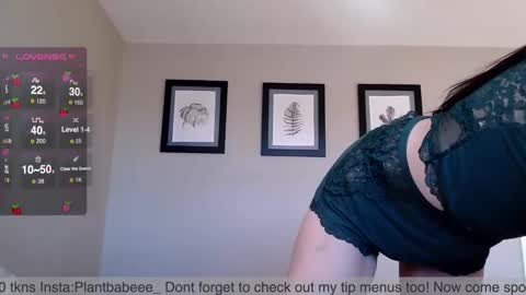 Plantbabeee online show from December 2, 7:16 pm