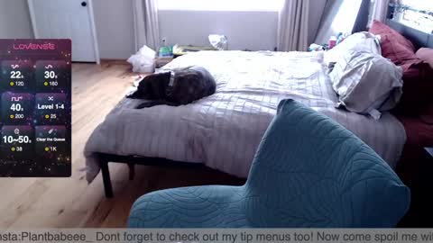 Plantbabeee online show from February 26, 6:00 pm