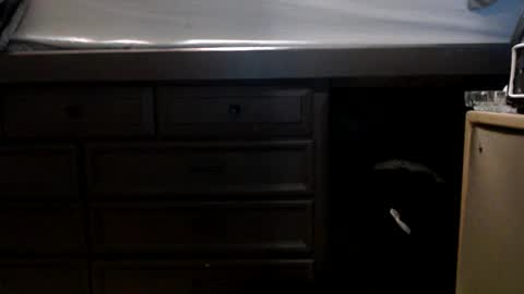 Snapshot of pleasantdinosaurus7537 chatting on November 17, 1:00 am pleasantdinosaurus7537 online show from November 17, 1:00 am