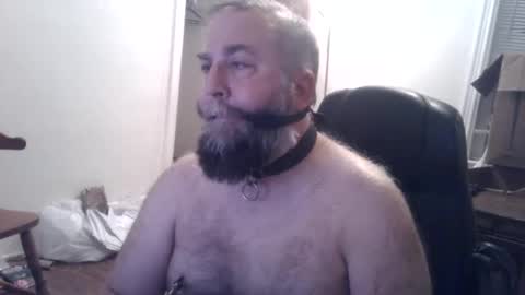 pleasurepuppt online show from December 3, 1:52 am