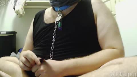 PlugPup online show from December 21, 7:10 pm