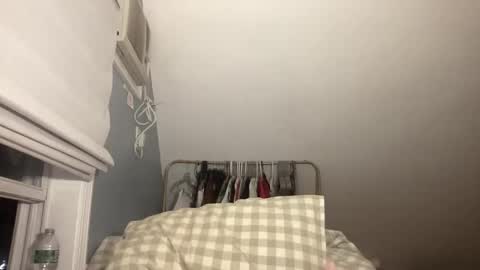 stariette online show from February 15, 2:08 am