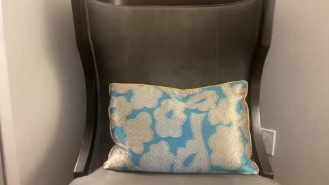 pluz69 online show from January 8, 11:34 am