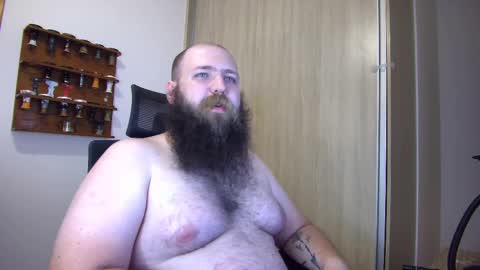 Bear online show from January 17, 3:34 am