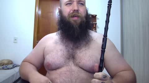Bear online show from February 7, 3:23 am