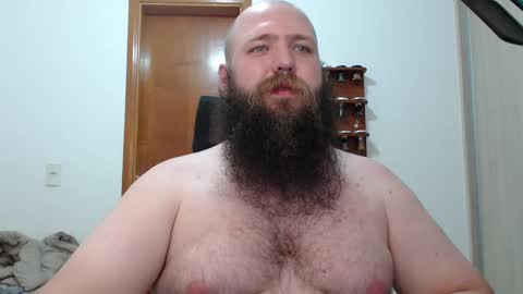Bear online show from February 14, 2:39 am