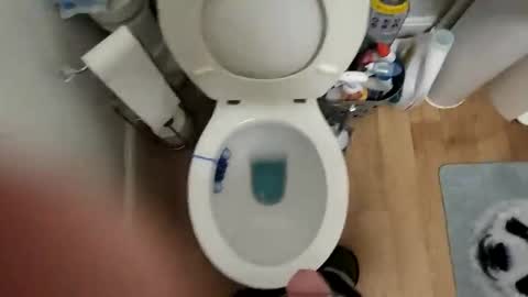 polishx42 online show from February 2, 3:55 pm