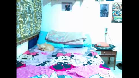 Snapshot of pollon8_kbezon chatting on January 5, 8:42 pm Gian online show from January 5, 8:42 pm