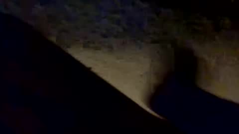 porkchopak online show from September 17, 10:17 am