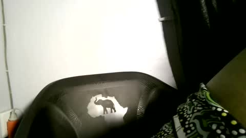 luna online show from April 2, 3:48 am