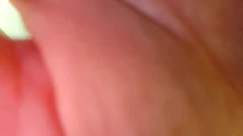 Big Dick online show from February 26, 10:14 am