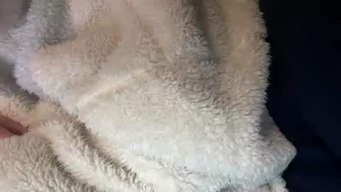 Snapshot of prelako chatting on October 26, 12:00 pm Prelako online show from October 26, 12:00 pm