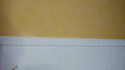 Snapshot of prettypervyx chatting on February 9, 9:05 am Laura Onlyfans 40OFF online show from February 9, 9:05 am