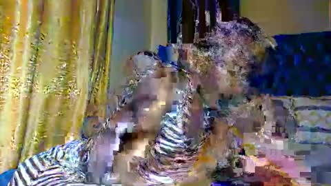 sasha online show from November 10, 7:13 pm