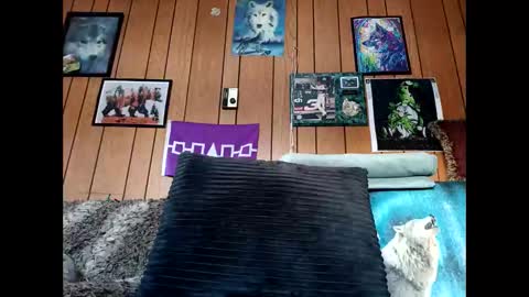 prettysolid7 online show from February 6, 2:09 pm