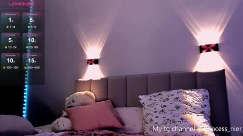 Snapshot of princess_nier chatting on December 2, 10:45 pm Princess Diana online show from December 2, 10:45 pm
