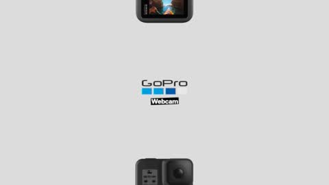 prittinho online show from April 16, 9:10 am