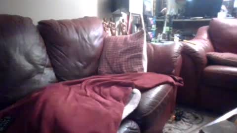 Snapshot of probody chatting on September 14, 2:16 pm MUSCLEGOD online show from September 14, 2:16 pm