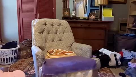professorspanky online show from January 27, 5:04 pm