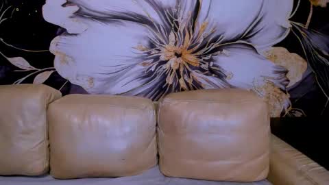 Snapshot of project_barbara chatting on October 11, 3:43 pm Barbara online show from October 11, 3:43 pm