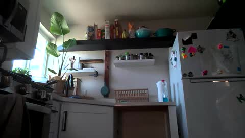 Properfuct online show from November 3, 8:43 pm