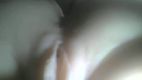 needtocum online show from February 3, 12:42 am