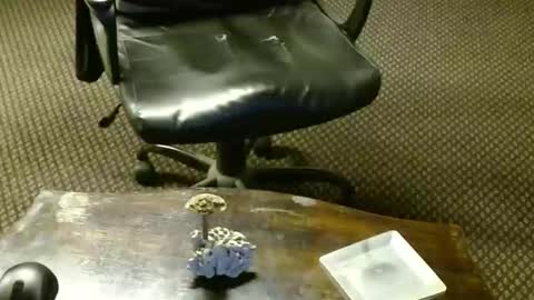 Jojo online show from October 16, 9:27 pm